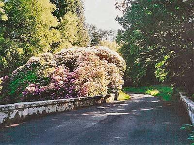 Villa Forget Me Not - Skkz Dalmellington Exterior foto